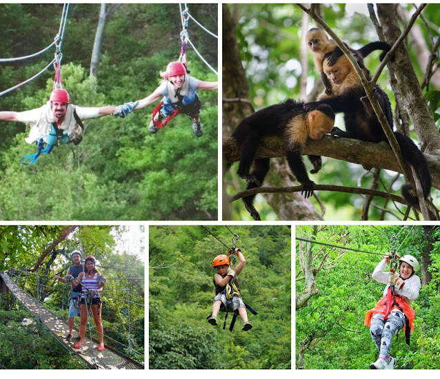 Zipline