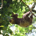 rio-celeste-tour-11