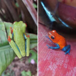 rio-celeste-tour-13