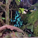 rio-celeste-tour-14