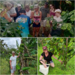 rio-celeste-tour-18
