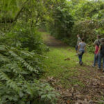 explore-arenal-volcano-4
