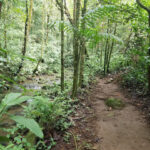 explore-arenal-volcano-6