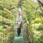 unique-volcano-and-rainforest-12