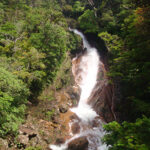 unique-volcano-and-rainforest-13