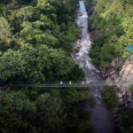 unique-volcano-and-rainforest-16