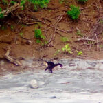 water-combo-fishing-snorkeling-11