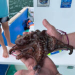 water-combo-fishing-snorkeling-12
